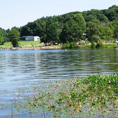 In Nahe Fuchskaute Liebenscheid