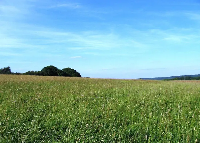 In Nahe Fuchskaute * Liebenscheid