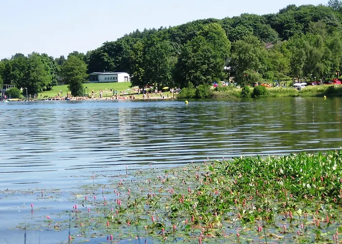 In Nahe Fuchskaute Liebenscheid